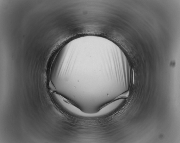 X0000097990252200804211112