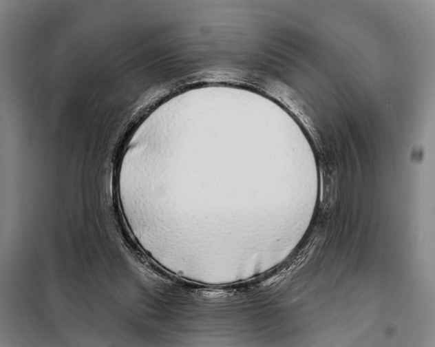 X0000097990253200804211112