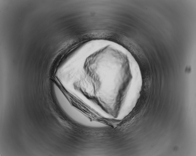 X0000097990254200804211112