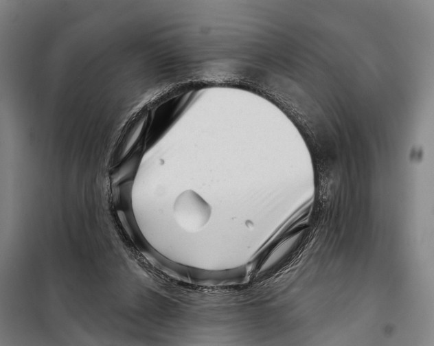 X0000097990256200804211112