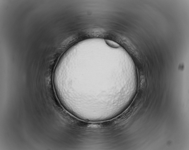 X0000097990259200804211112