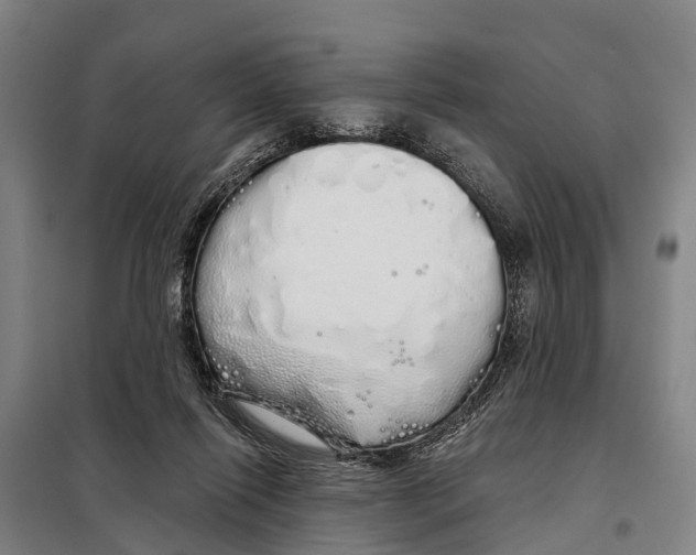 X0000097990262200804211112