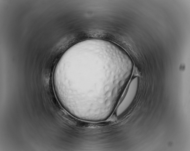 X0000097990263200804211112