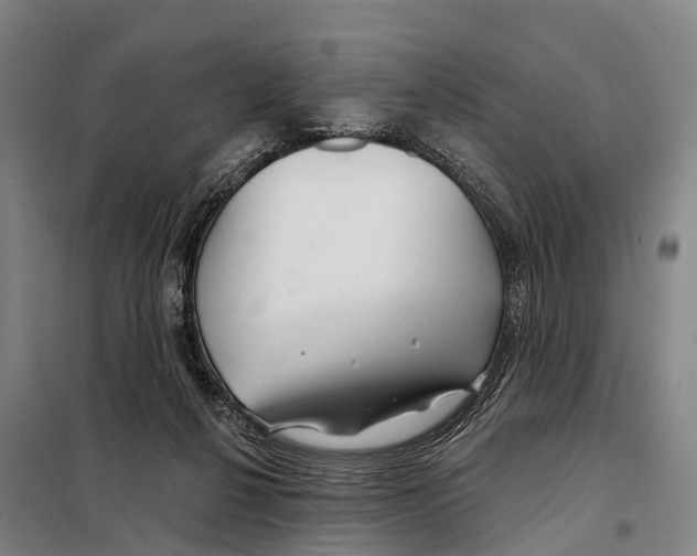 X0000097990264200804211112