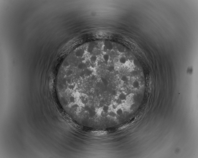 X0000097990266200804211112