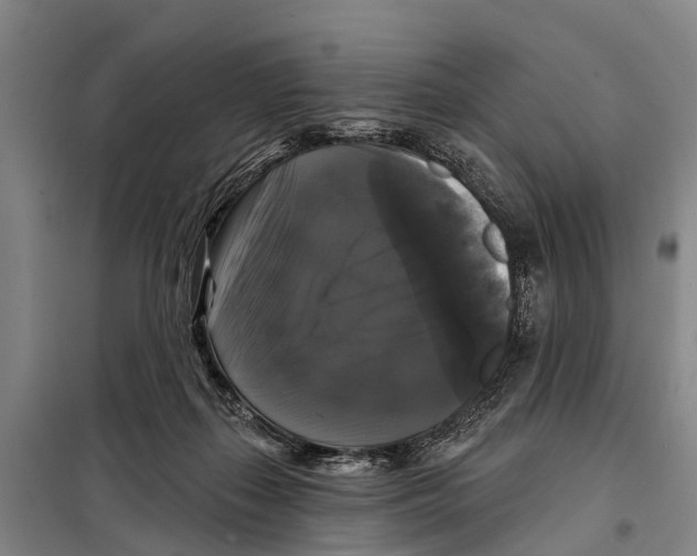 X0000097990267200804211112