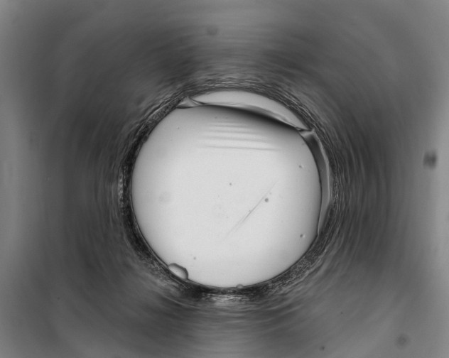 X0000097990268200804211112