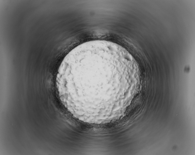 X0000097990270200804211112