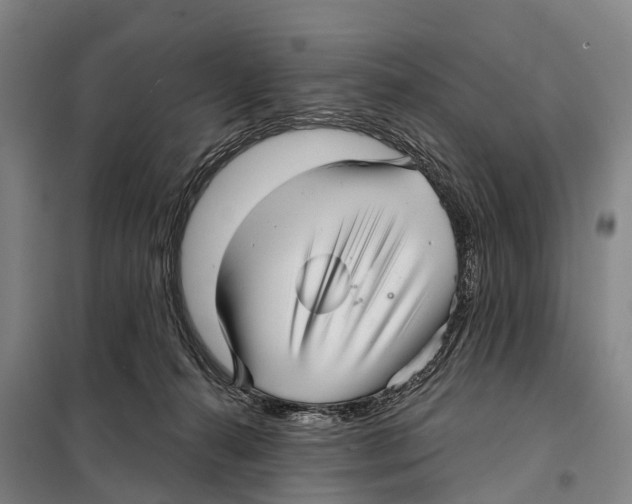 X0000097990272200804211112