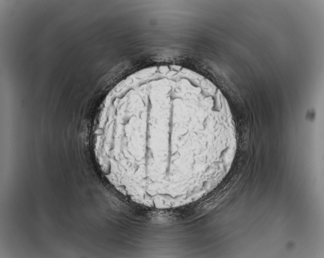 X0000097990273200804211112