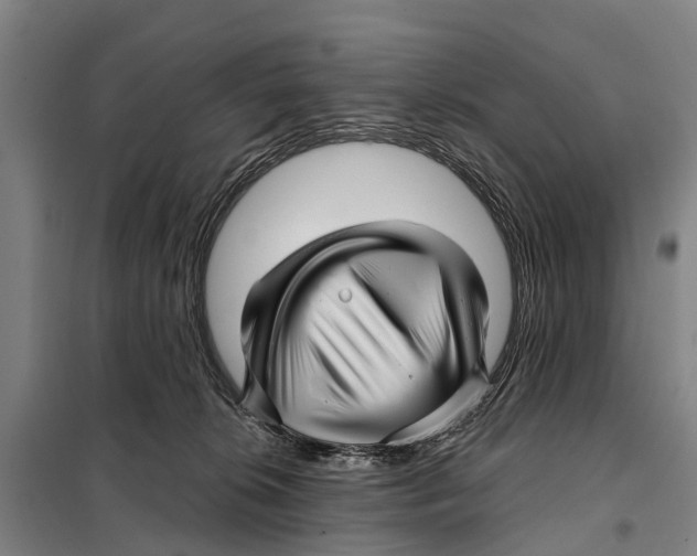 X0000097990276200804211112