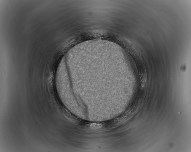 X0000097990279200804211112