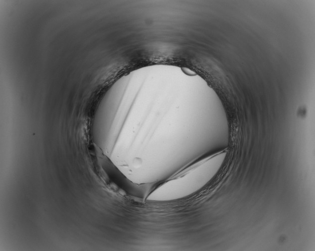 X0000097990280200804211112