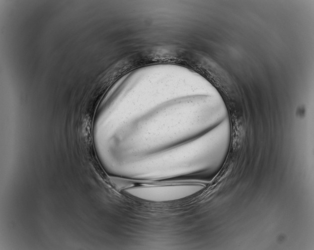 X0000097990281200804211112