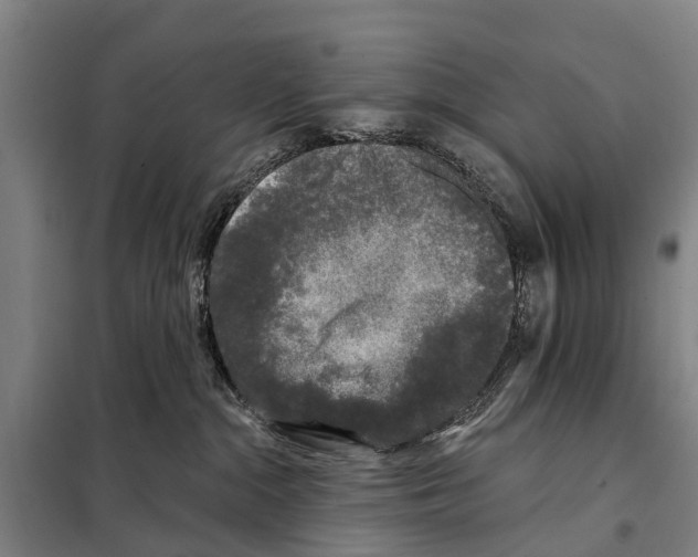 X0000097990284200804211112