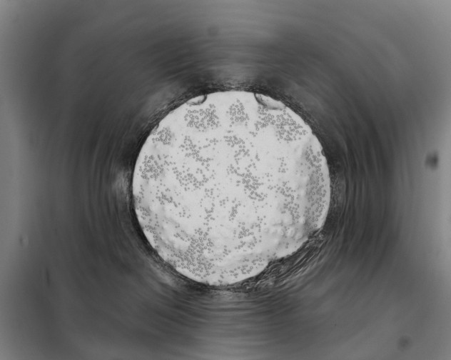 X0000097990286200804211112