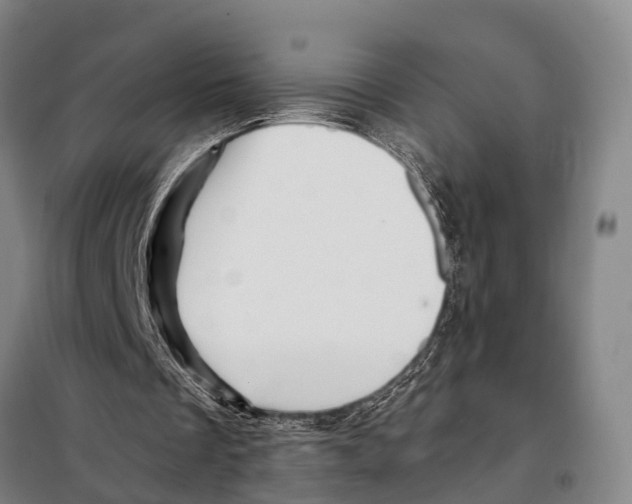 X0000097990289200804211111