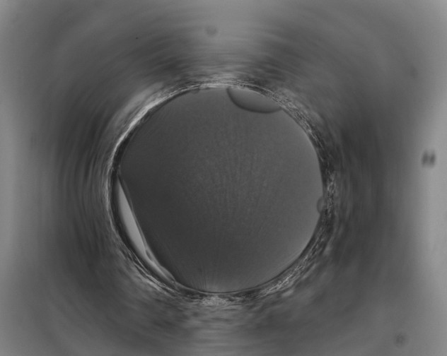 X0000097990290200804211111