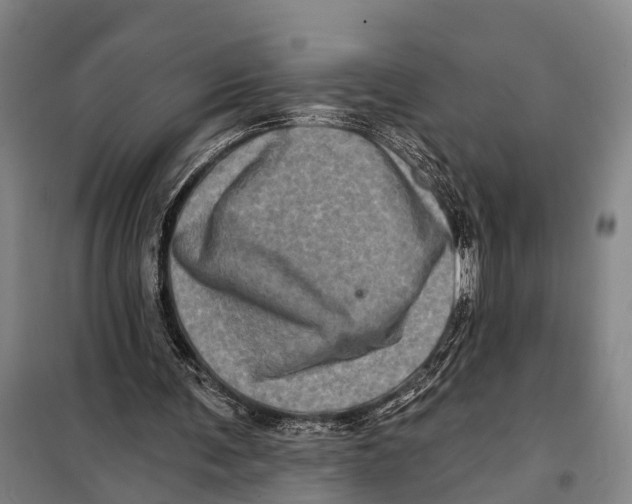 X0000097990291200804211111