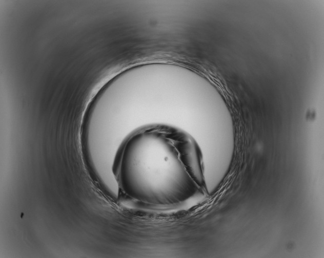 X0000097990292200804211111