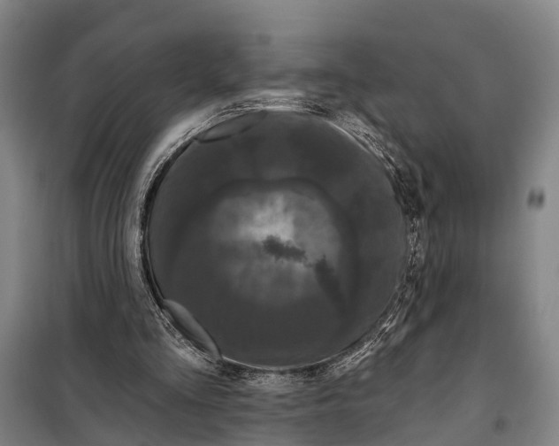 X0000097990293200804211111