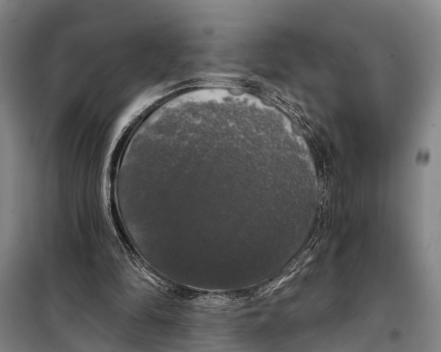 X0000097990294200804211111