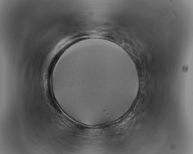 X0000097990295200804211111