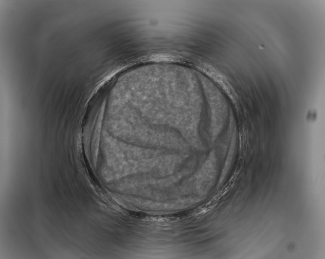 X0000097990297200804211111