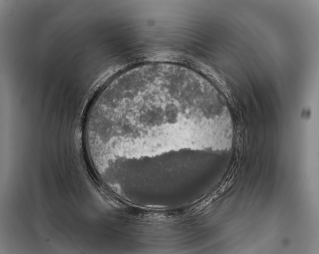 X0000097990298200804211111