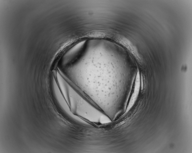 X0000097990300200804211111