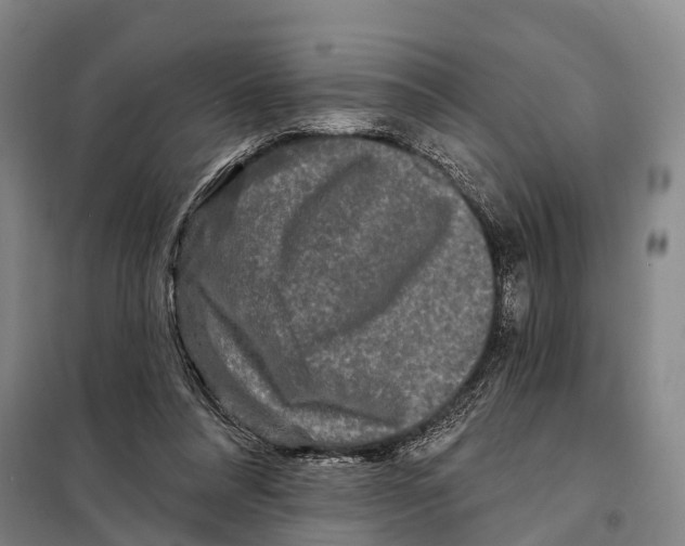 X0000097990304200804211111