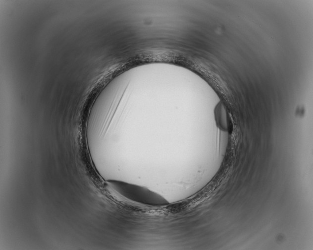 X0000097990306200804211111