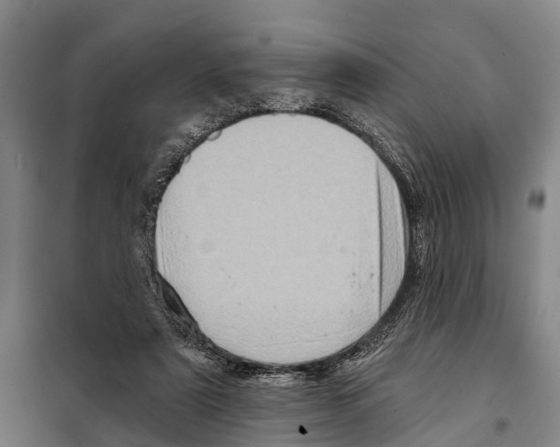 X0000097990307200804211111