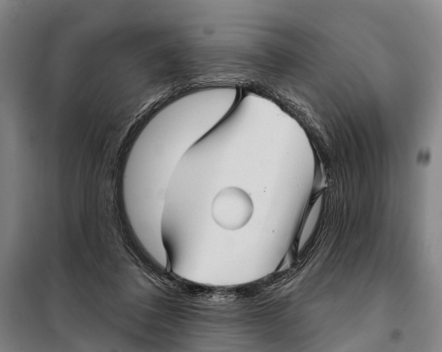 X0000097990308200804211111