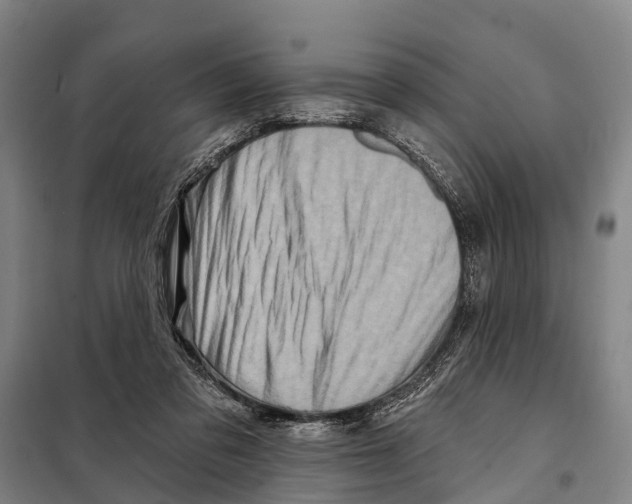 X0000097990309200804211111