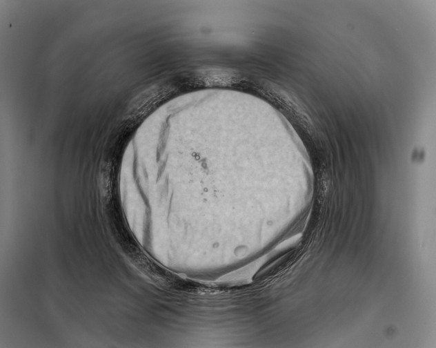 X0000097990311200804211111