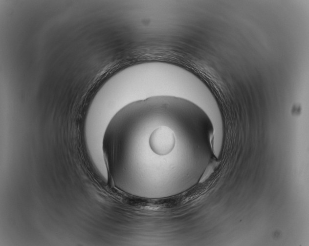 X0000097990312200804211111