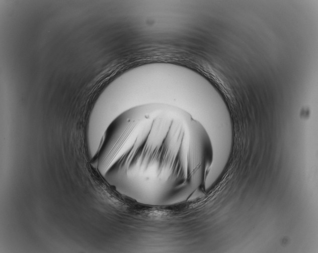 X0000097990313200804211111