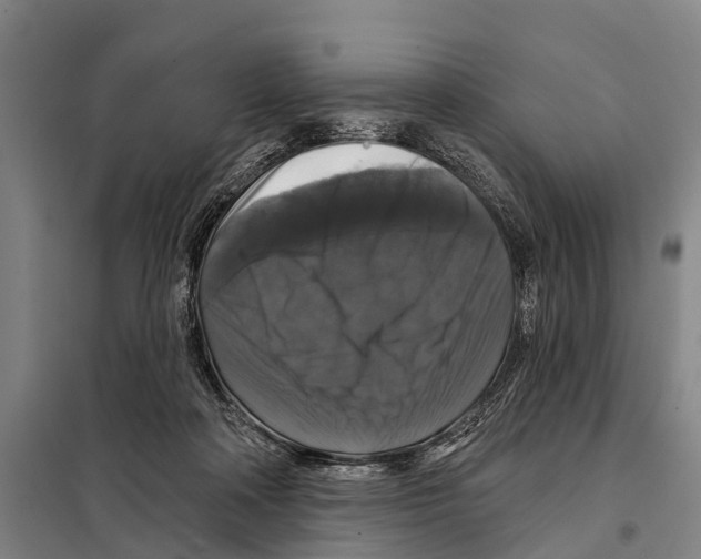 X0000097990314200804211111