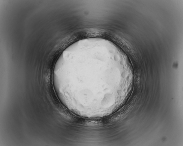 X0000097990315200804211111