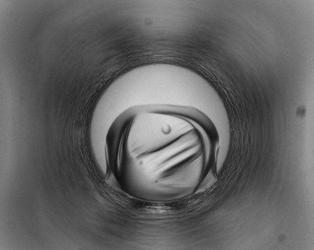 X0000097990316200804211111