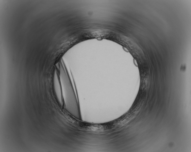 X0000097990317200804211111