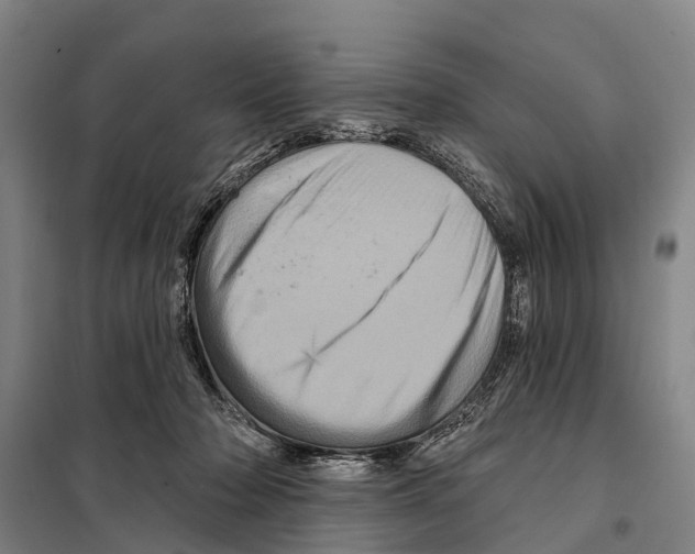 X0000097990318200804211111