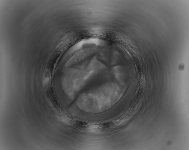 X0000097990320200804211111