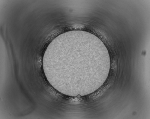 X0000097990321200804211111