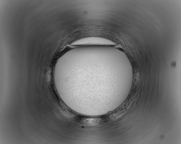 X0000097990323200804211111