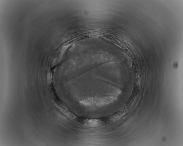 X0000097990324200804211111