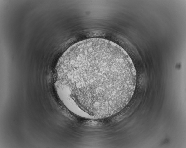 X0000097990326200804211111