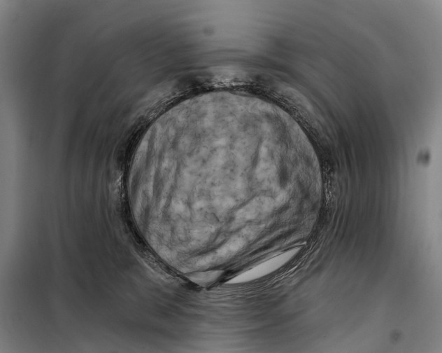 X0000097990327200804211111