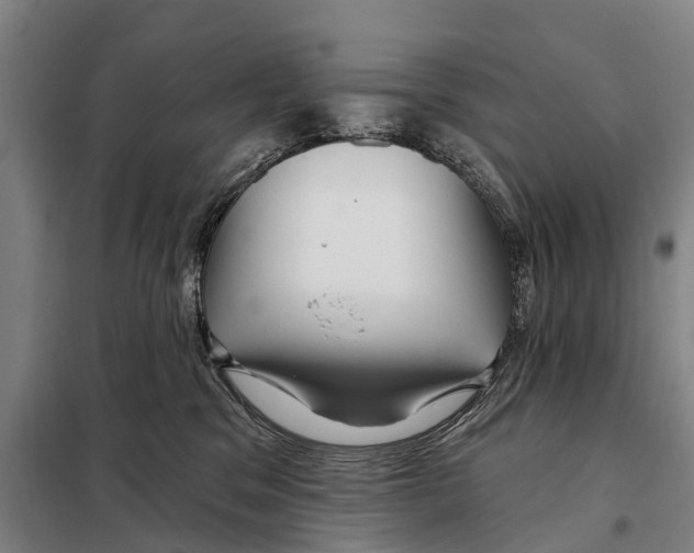 X0000097990329200804211111